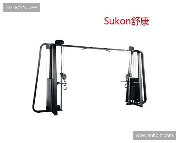飞鸟组合健身器材产品介绍及训练方案