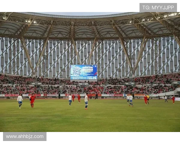 足球赛事中的媒体传播与球迷体验