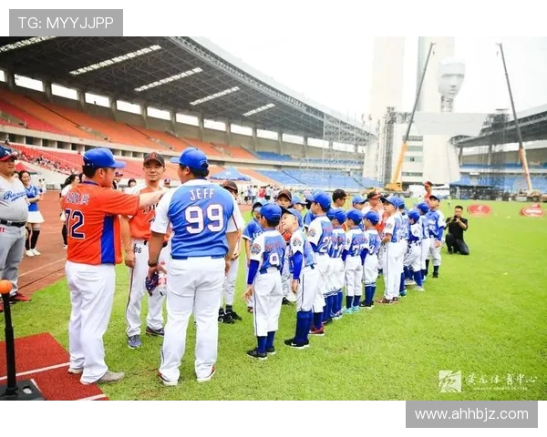 青少年棒球培训体系的建设与改进方向