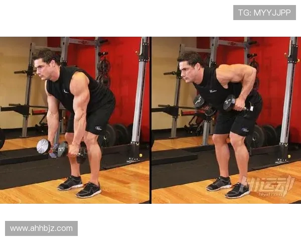 飞鸟健身器材配套APP定制训练计划