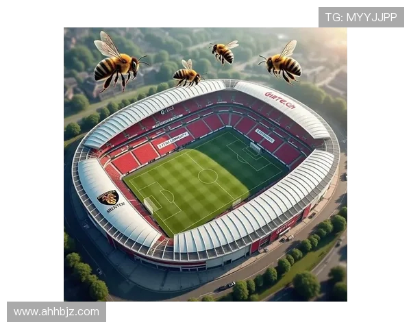 主场设在伦敦的英超球队盘点及其发展现状 主场设在伦敦的英超球队盘点及其发展现状